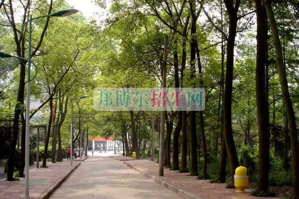 重慶青年職業技術學院網站網址