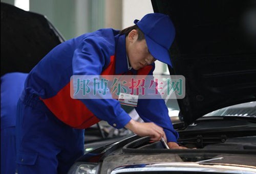 職業學校都能學什么