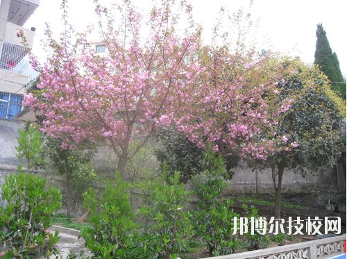 嵐皋縣中等職業(yè)技術學校2020年報名條件、招生要求、招生對象