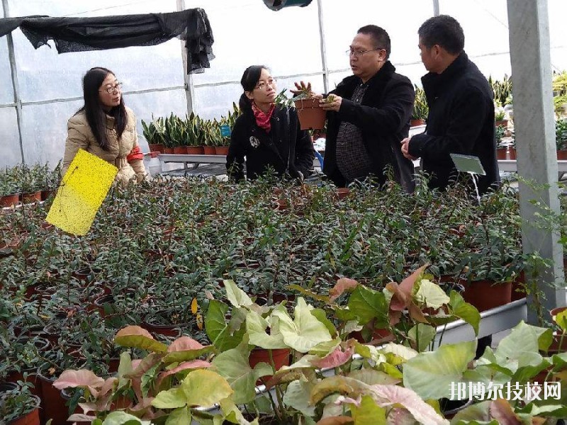 紹興園藝學(xué)校2020年學(xué)費、收費多少 