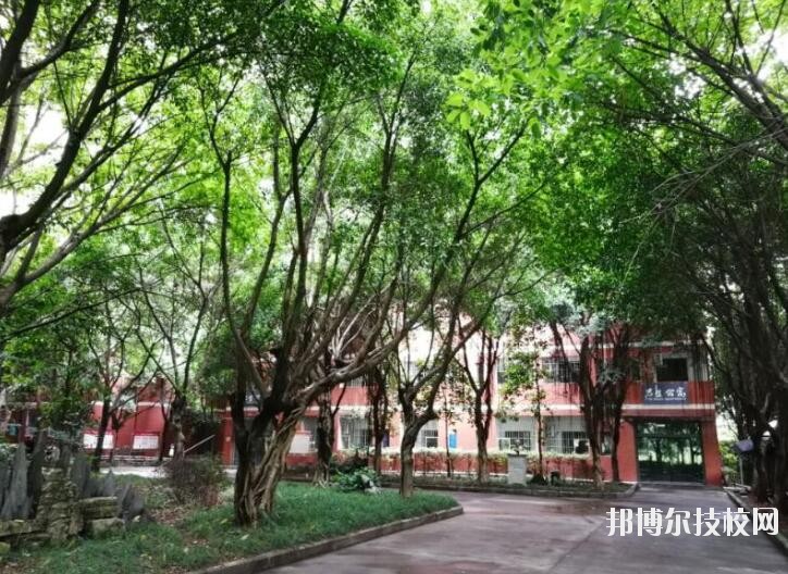 重慶舞蹈學校2020年報名條件、招生要求、招生對象