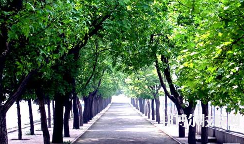 西安體育學院附屬競技體育學校2020年招生辦聯系電話