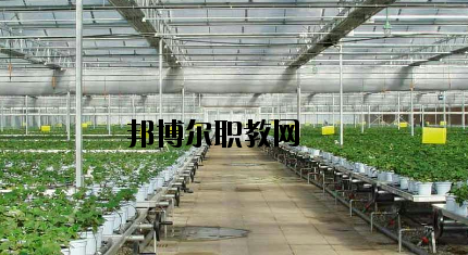 隴南農(nóng)業(yè)學(xué)校怎么樣、好不好