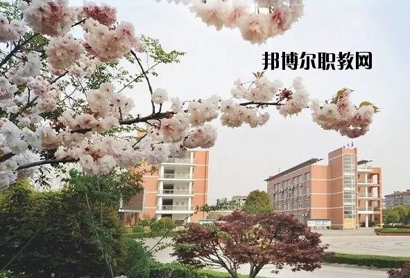 桐鄉(xiāng)衛(wèi)生學(xué)校2020年報(bào)名條件、招生要求、招生對(duì)象