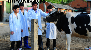 甘南畜牧學(xué)校2020年學(xué)費、收費多少