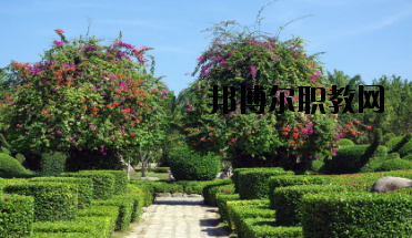 甘南畜牧學校怎么樣、好不好