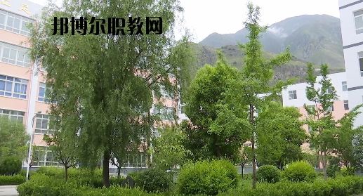 文縣職業(yè)技術(shù)學(xué)校2020年報(bào)名條件、招生要求、招生對(duì)象