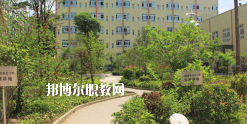 道真中等職業(yè)學(xué)校2020年報(bào)名條件、招生要求、招生對(duì)象