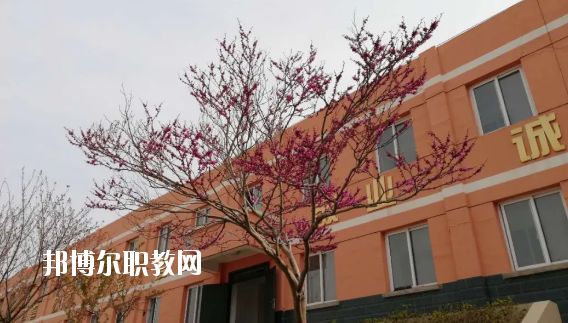 成縣化埡農職業中學怎么樣、好不好