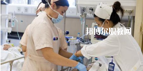 貴州2020年中專衛校專業都學什么