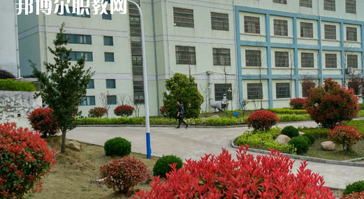巢湖市翰文學校2020年招生辦聯系電話