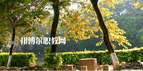 廣西民族中等專業學校怎么樣、好不好