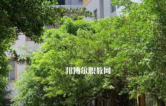 惠州惠陽財經外貿職業技術學校怎么樣、好不好