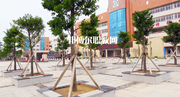 信宜職業(yè)技術(shù)學(xué)校2020年招生錄取分數(shù)線