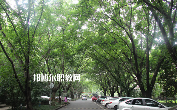 重慶2021年中專學?？梢钥即髮W嗎