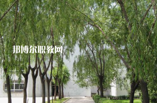 新疆喀什地區衛生學校2021年報名條件、招生要求、招生對象