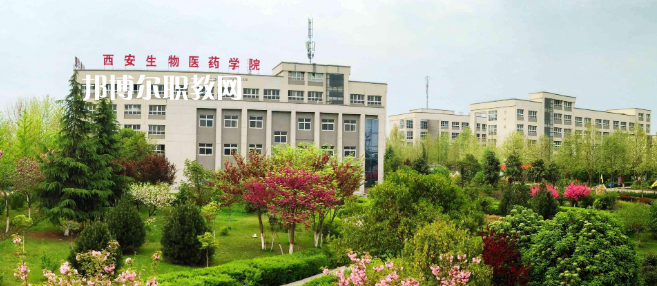 陜西2021年衛校都有哪些