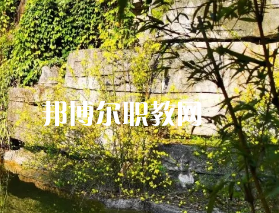 遵義職業技術學校2022年招生錄取分數線