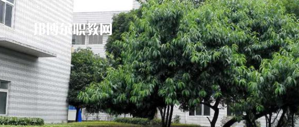 成都市中山職業(yè)技術(shù)學(xué)校2022年報名條件、招生要求、招生對象