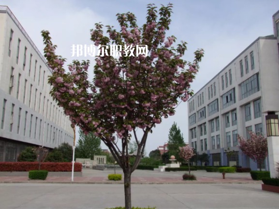 陳倉區職業教育中心2022年報名條件、招生要求、招生對象