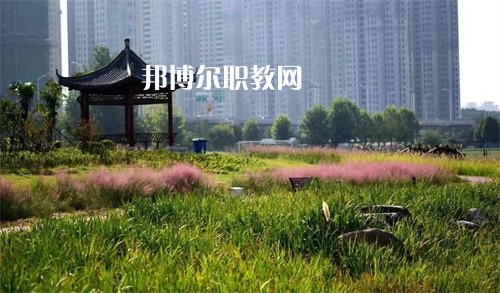 徐州生物工程職業(yè)技術(shù)學(xué)院中專部2022年報(bào)名條件、招生要求、招生對(duì)象