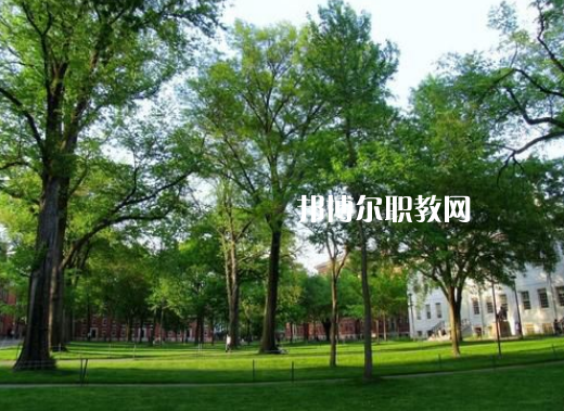鎮雄縣職業高級中學2022年招生簡章
