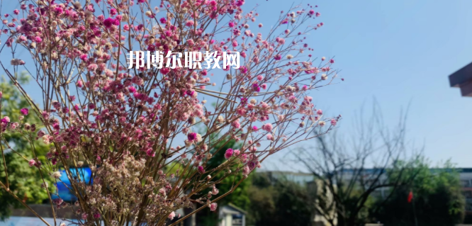 成都華大醫藥衛生學校怎么樣、好不好