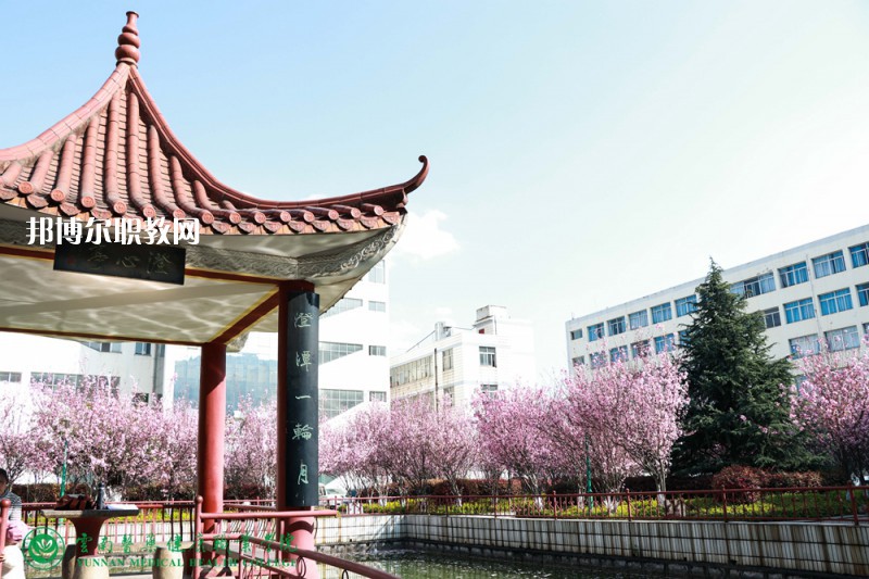 邯鄲永年衛(wèi)生學校2022年網站網址