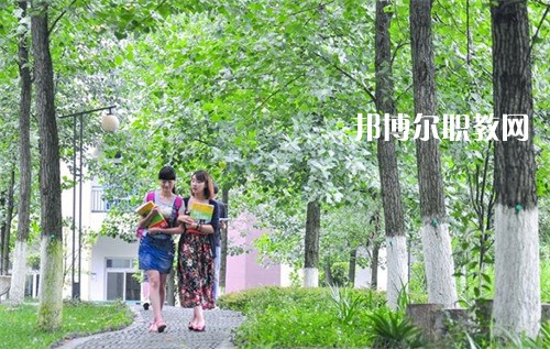 四川外國(guó)語(yǔ)大學(xué)成都學(xué)院中高職銜接部2022年招生辦聯(lián)系電話