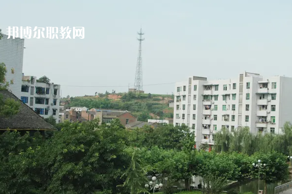 宜賓敘州區柳嘉職業技術學校2022年網站網址