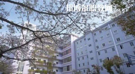 武漢體育舞蹈藝術學校2022年怎么樣、好不好