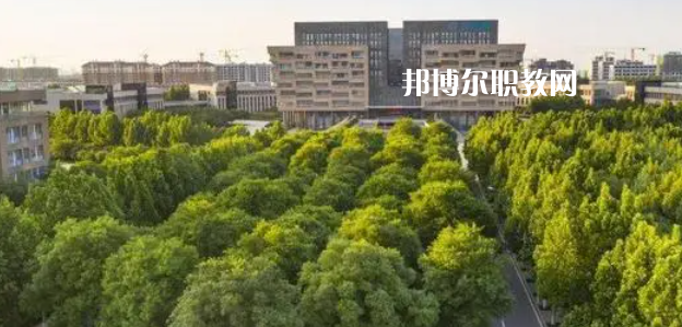 2023山東十大?？茖W校名單及排行榜