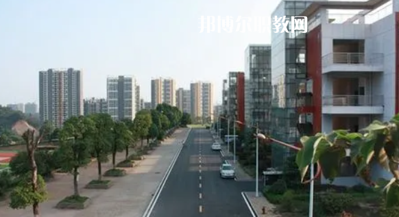 長沙南方職業學院好不好_2023年有單招嗎