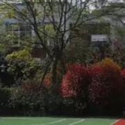 成都市郫都區特殊教育學校