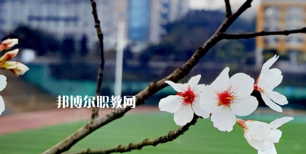 2023眉山技師學(xué)院招生計(jì)劃 招生人數(shù)是多少(附要求、條件、對(duì)象)
