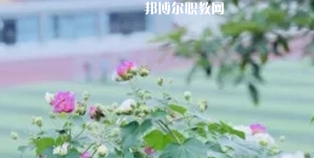 眉山技師學(xué)院地址在哪里，哪個地區(qū)，哪個城市?