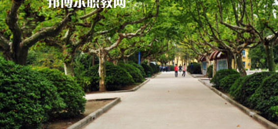 2023淮安市洪澤區(qū)技工學(xué)校招生計劃 招生人數(shù)是多少(附要求、條件、對象)