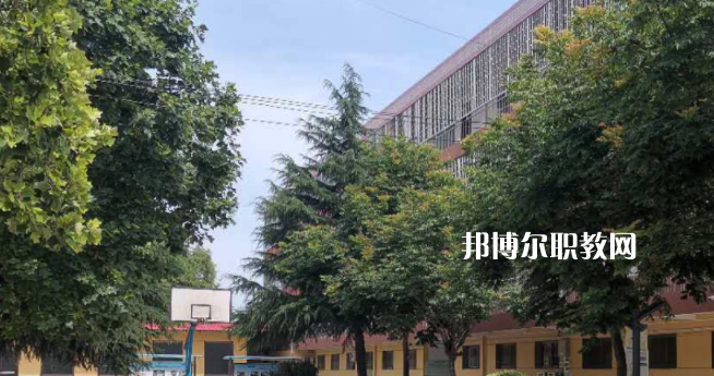 2023楊凌師范學校招生計劃 招生人數(shù)是多少(附要求、條件、對象)