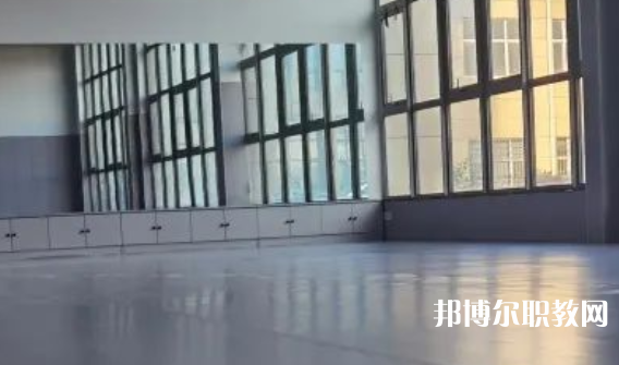 2023秦皇島市藝新舞蹈學校招生計劃 招生人數是多少(附要求、條件、對象)