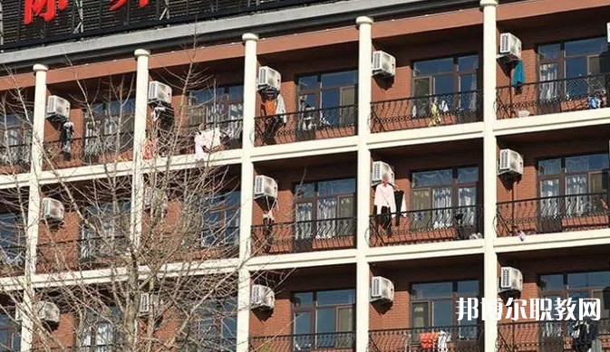 2024大連國際舞蹈學校招生計劃 招生人數是多少(附要求、條件、對象)