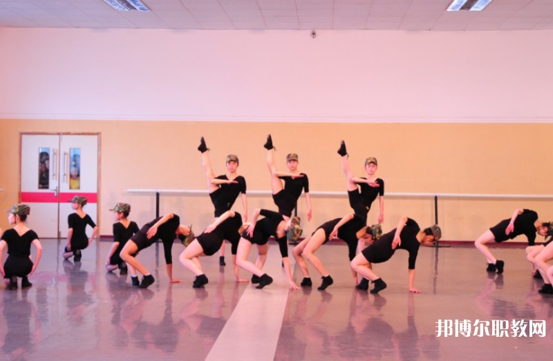 2025遼寧文化藝術學校招生計劃 招生人數是多少(附要求、條件、對象)