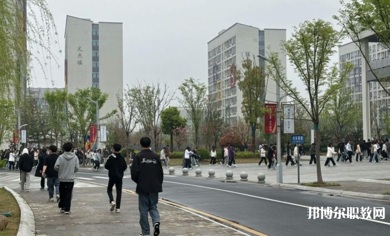 2025合肥技師學院招生計劃 招生人數是多少(附要求、條件、對象)