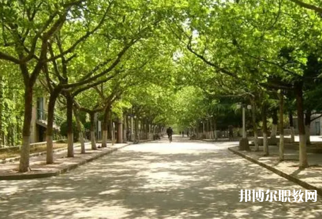 2025濱州中專學校最新排名前三名單